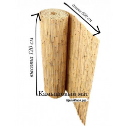 Камышовый мат, размер: 1,2 x 6 м