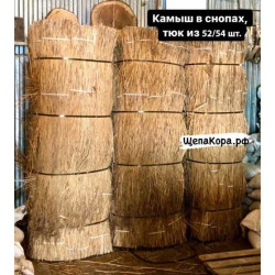 Камышовые снопы, 50 шт.