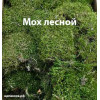 Мох зеленый лесной в упаковке 30х40 см