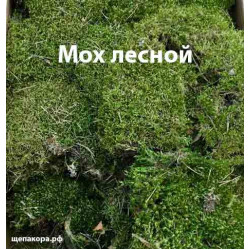Мох зеленый лесной, уп. 30х40 см