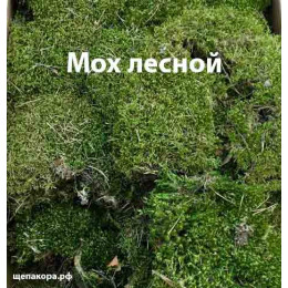 Мох зеленый лесной, уп. 30х40 см