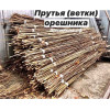Ветви орешника