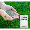 Газон городской продажа от 1 кг
