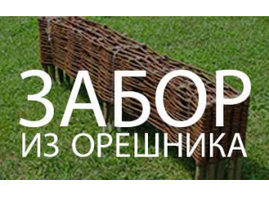 Забор из орешника