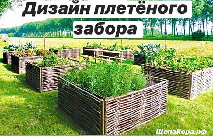 Плетень из орешника
